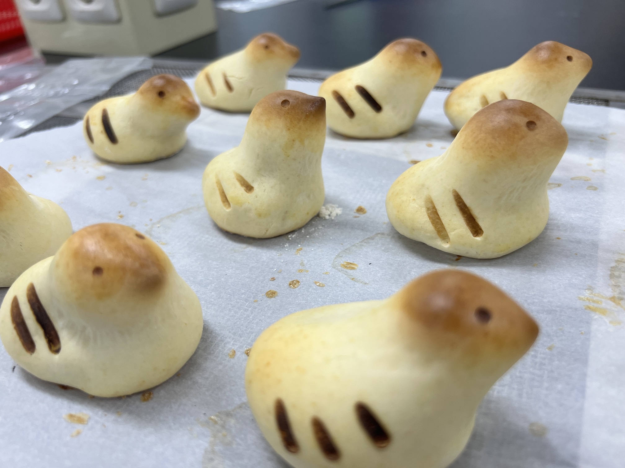 KakaoTalk_20250422_111520111_06.jpg