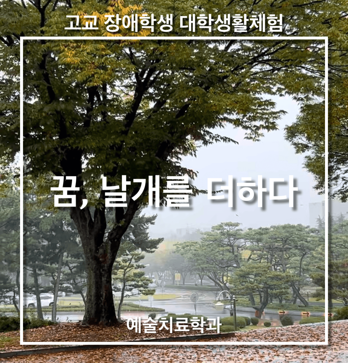 board_data["image_no"]