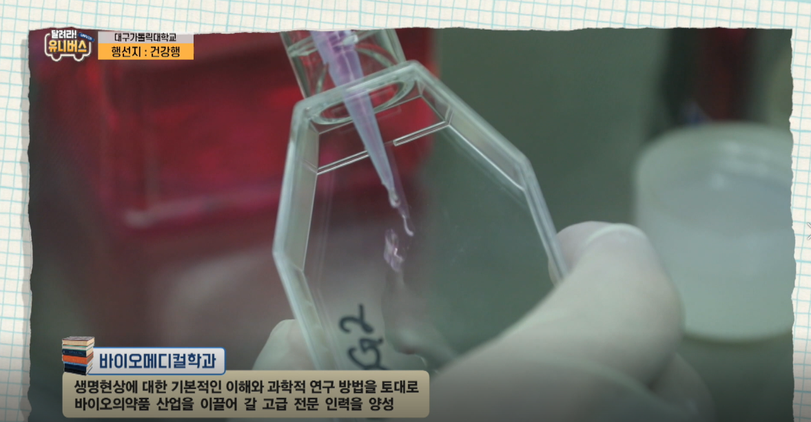 건강행2.png
