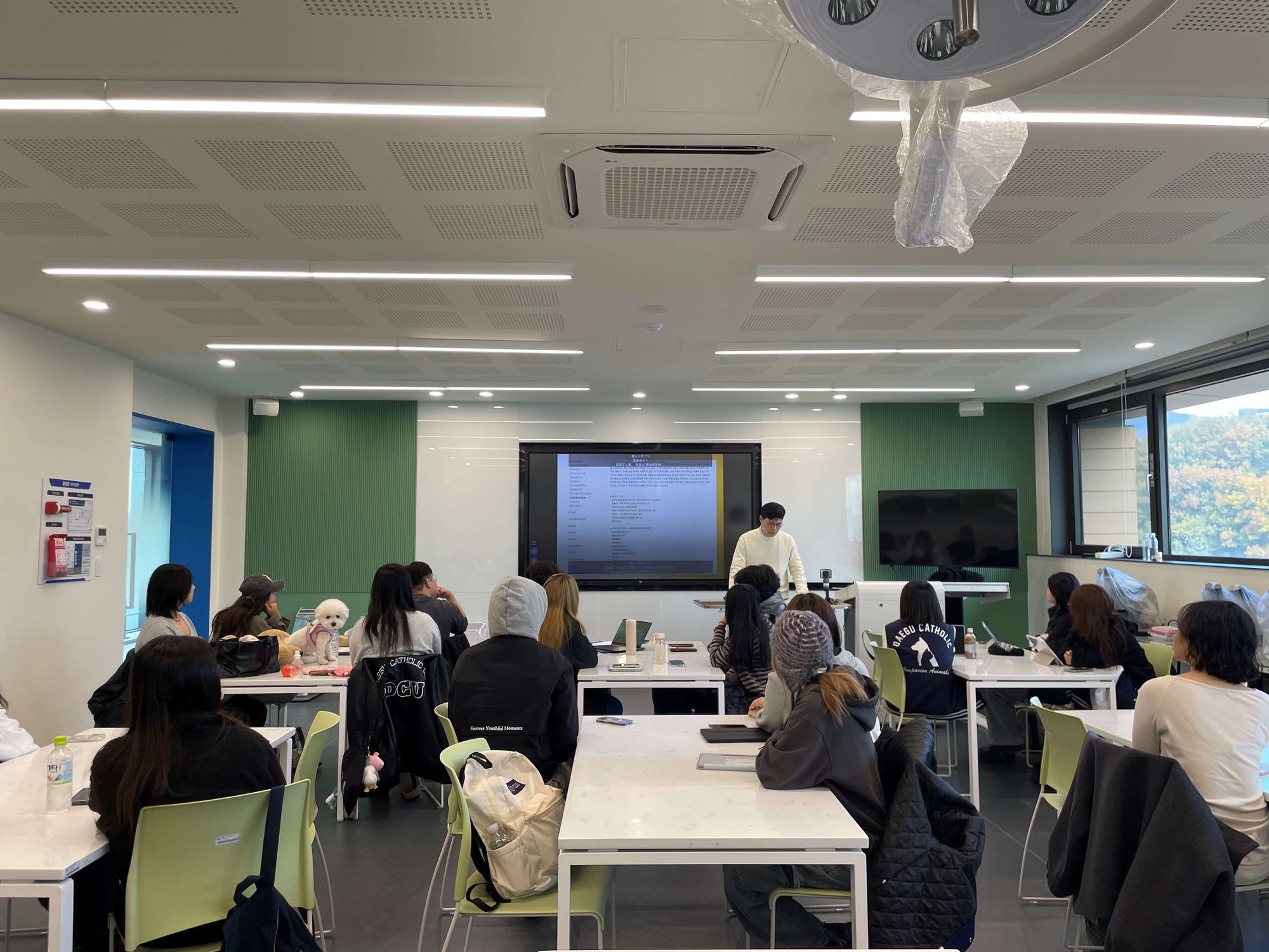 board_data["image_no"]