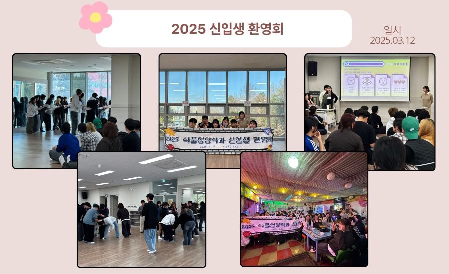 board_data["image_no"]