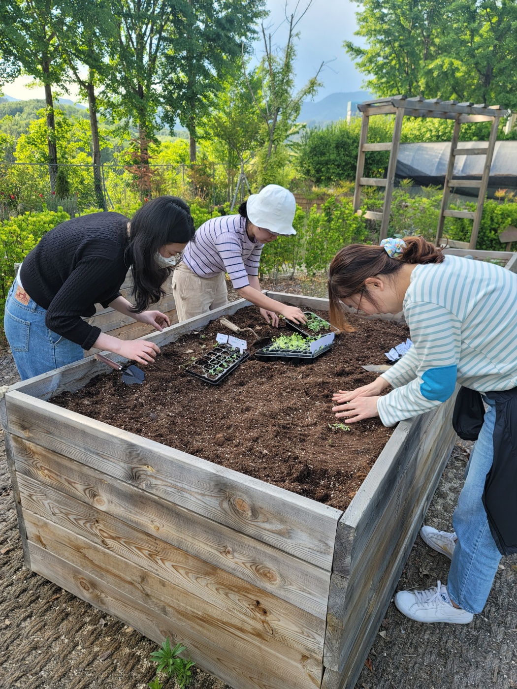 치유농업사13.jpg