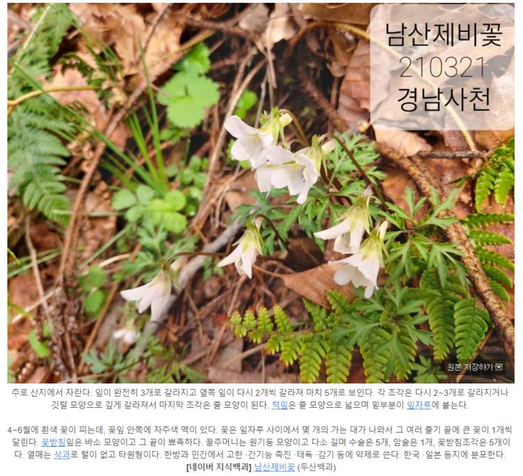 캡처.PNG