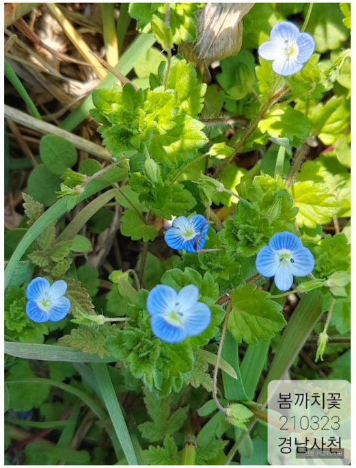 캡처.PNG