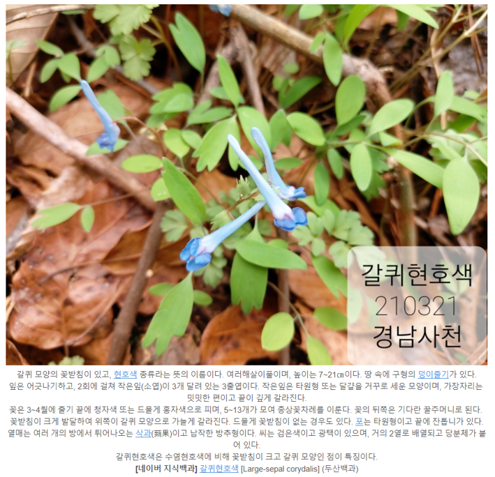 캡처.PNG