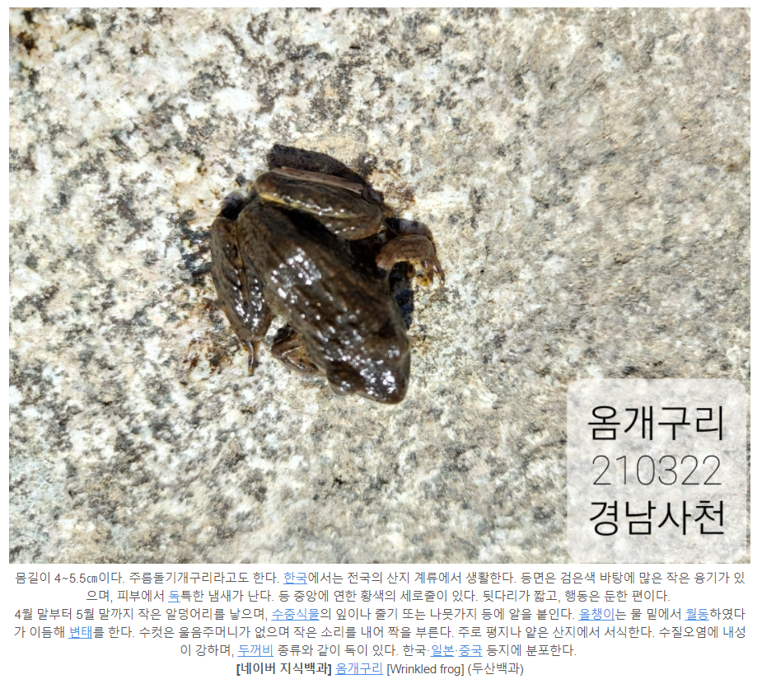 캡처3.PNG