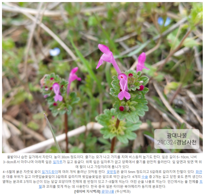 캡처2.PNG