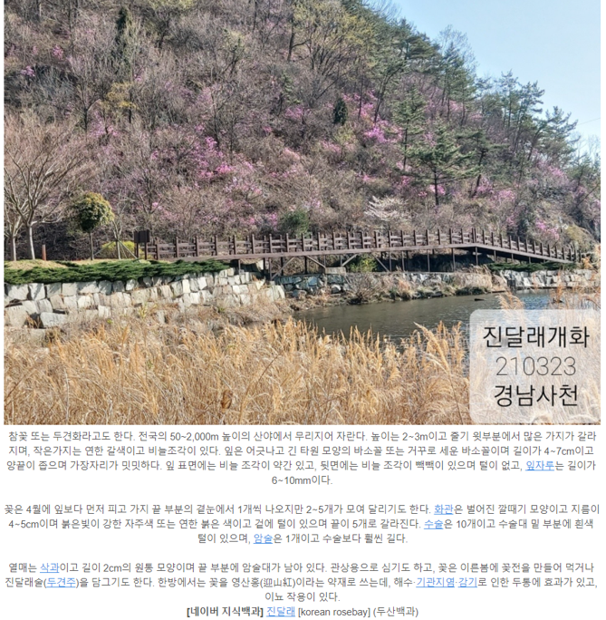 캡처3.PNG