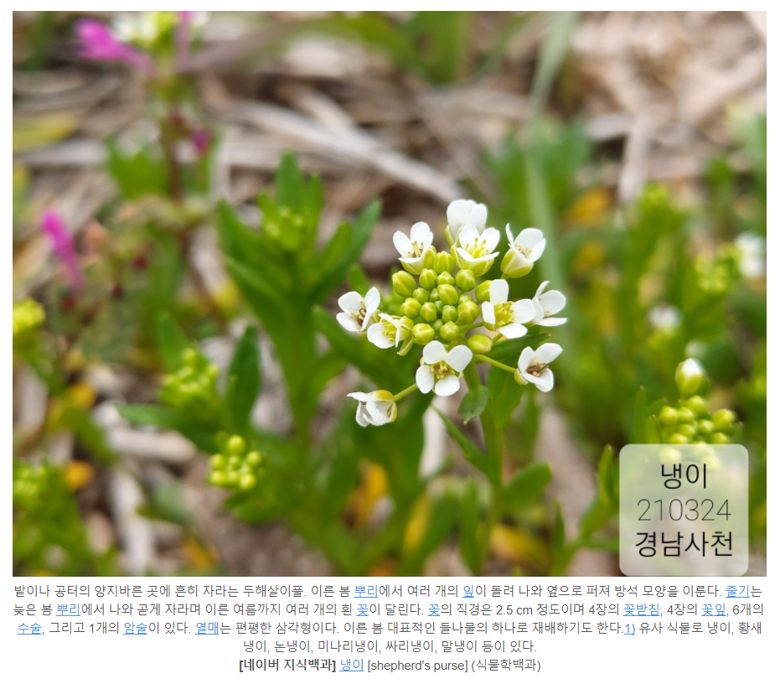 캡처.PNG