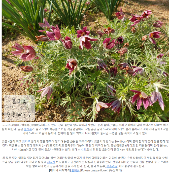 캡처1.PNG