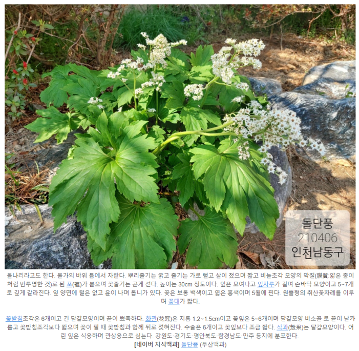 캡처3.PNG