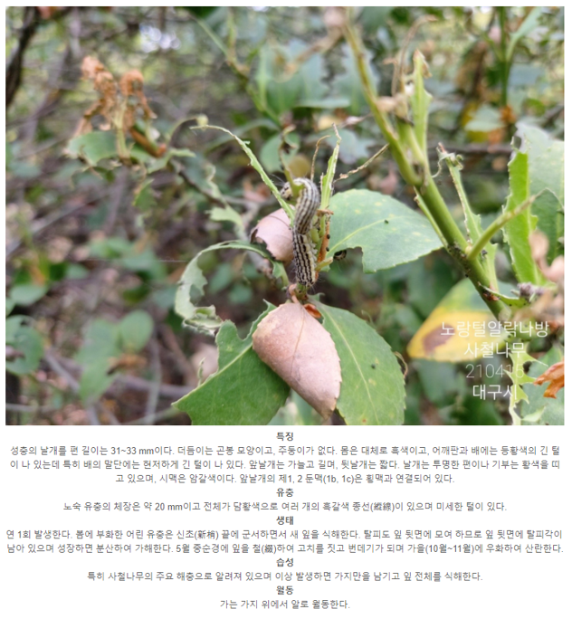 캡처.PNG