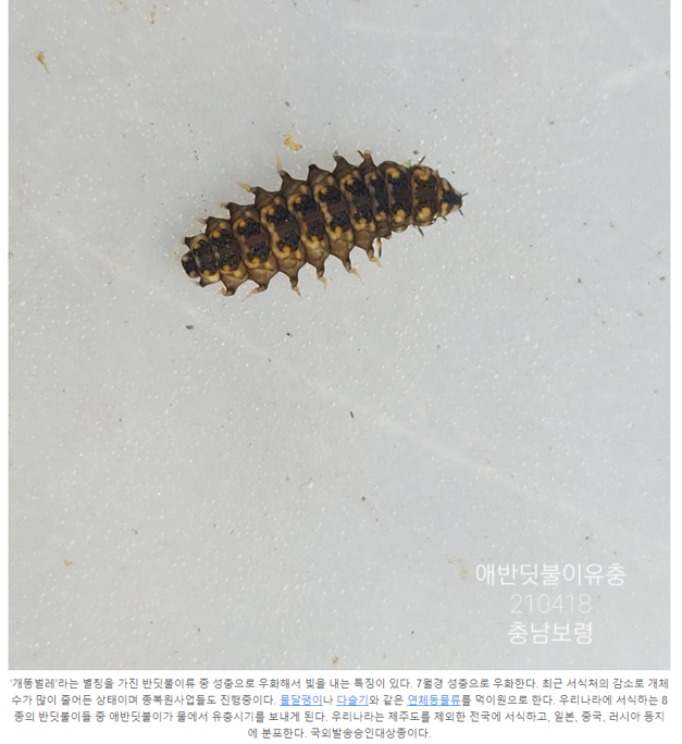 캡처2.PNG