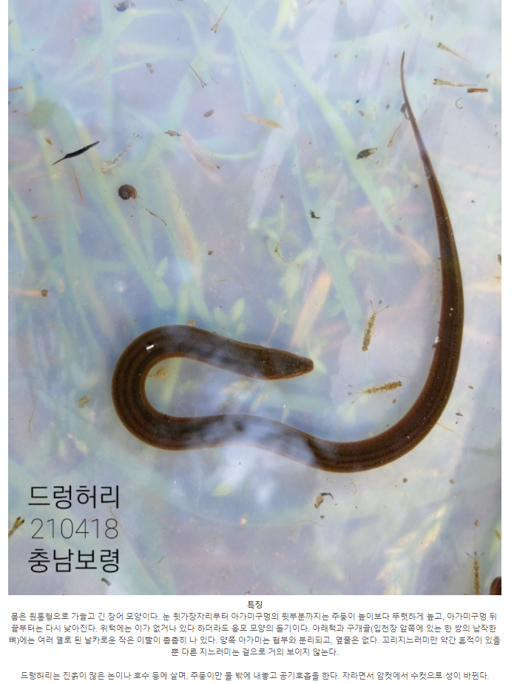 캡처1.PNG
