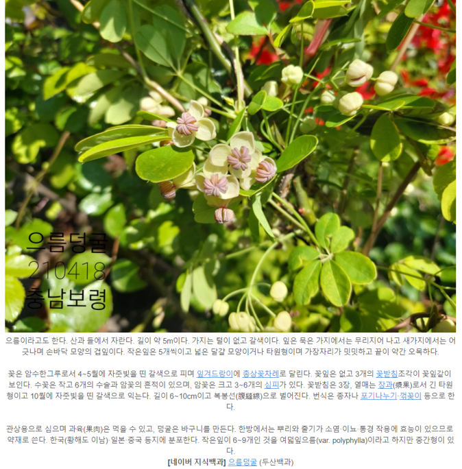 캡처2.PNG