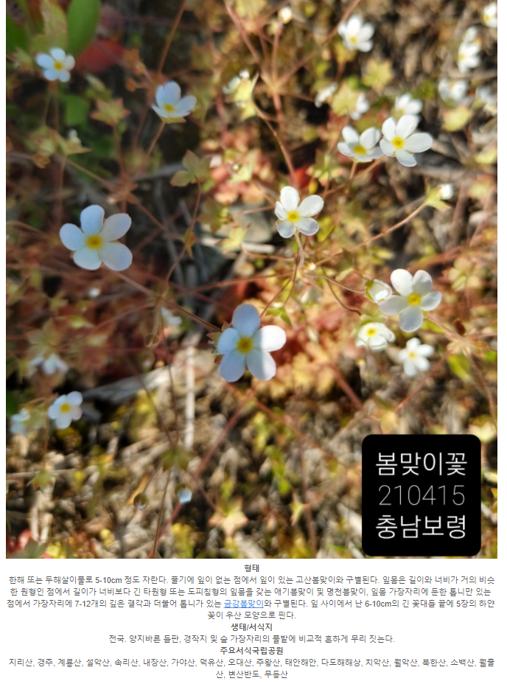 캡처3.PNG