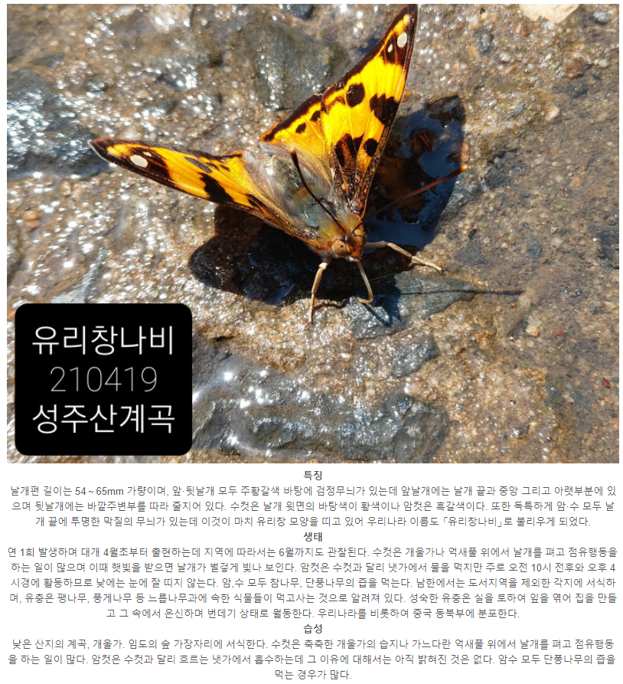 캡처.PNG