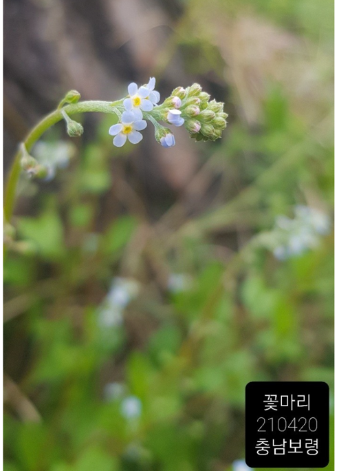 캡처1.PNG