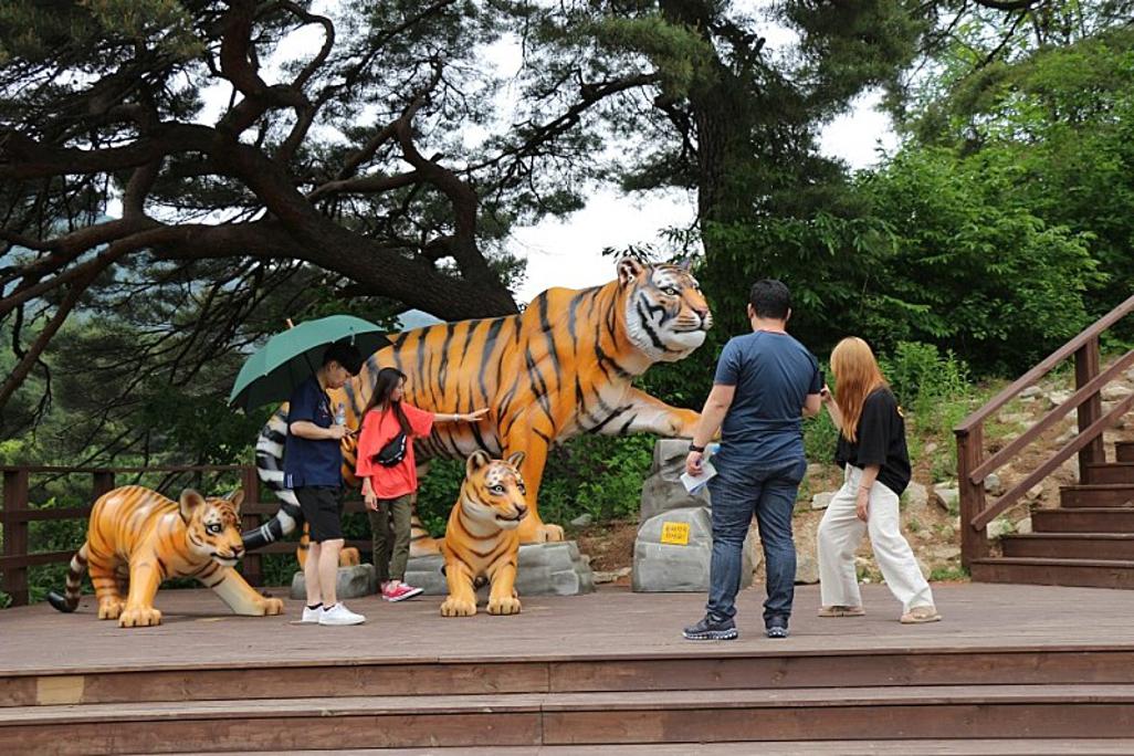 KakaoTalk_20190621_154845654_10.jpg