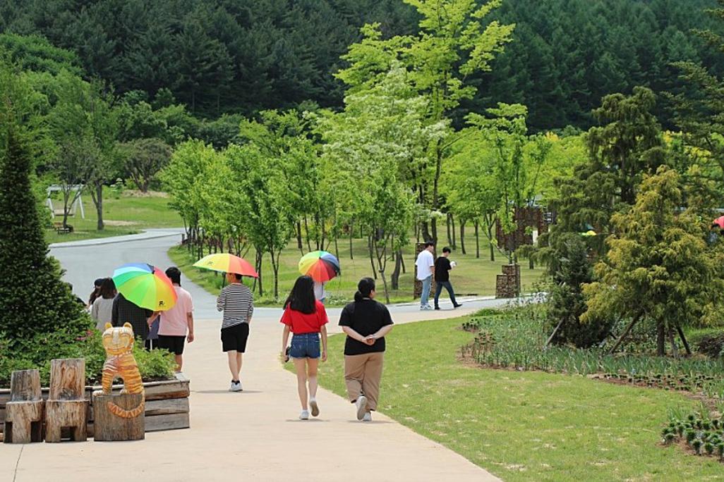 KakaoTalk_20190621_154845654_11.jpg
