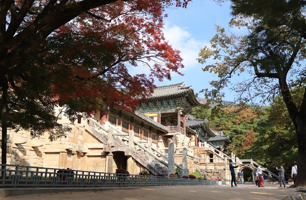 화면 캡처 2021-05-04 140214.png