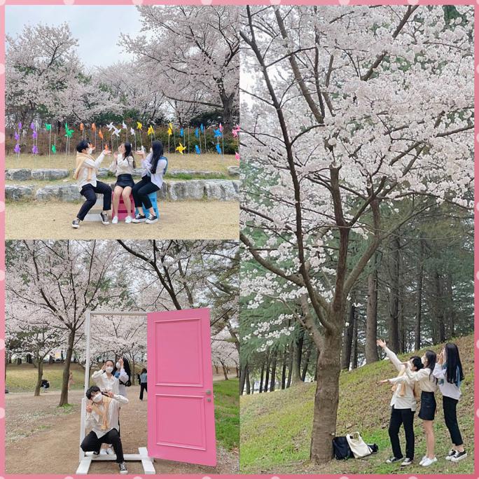 벚꽃-2.jpg