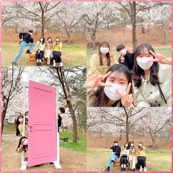 벚꽃-3.jpg