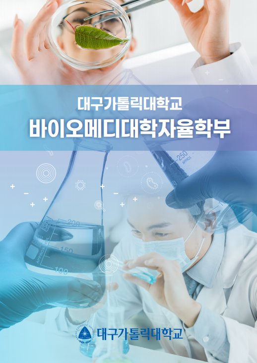 KakaoTalk_20250811_135816486.png