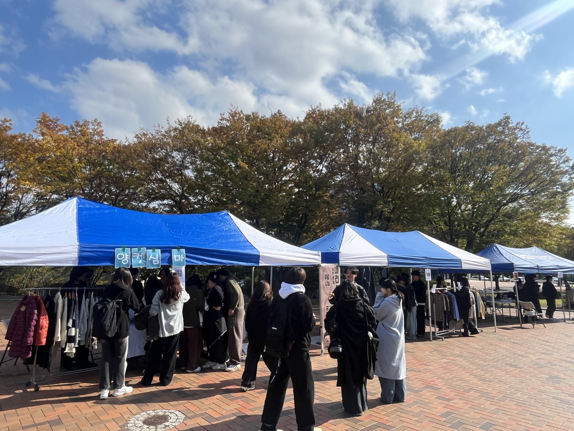 board_data["image_no"]