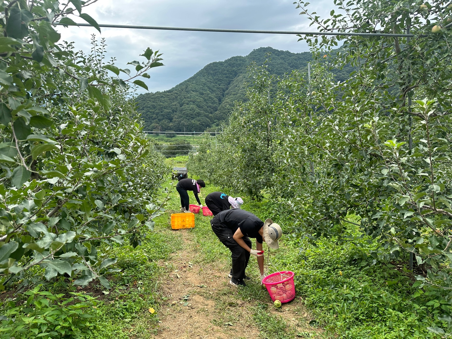 KakaoTalk_20230904_131717962_04.jpg