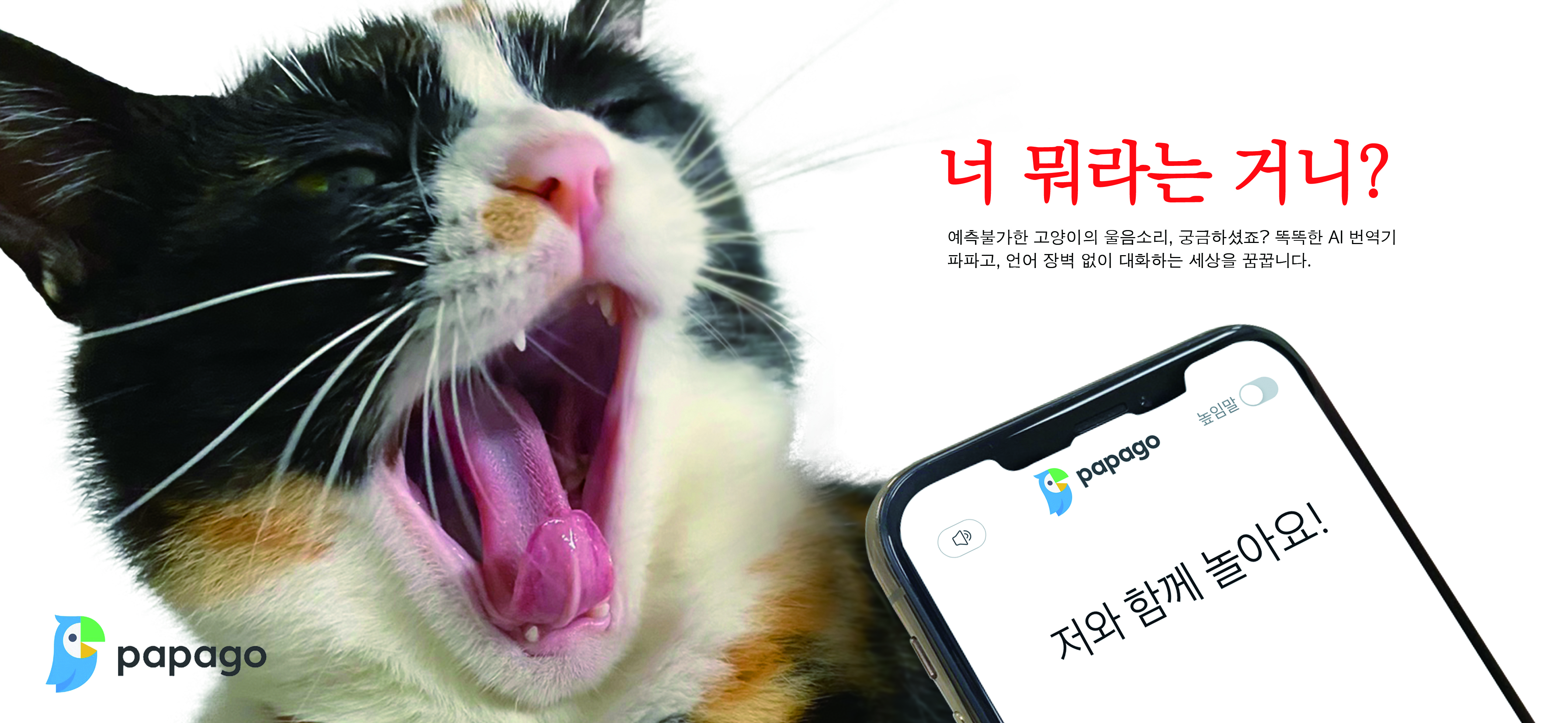 KakaoTalk_20211109_112908215_01.jpg