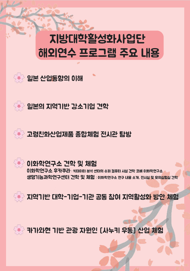 지방대학활성화사업단 해외연수 프로그램 주요 내용.png