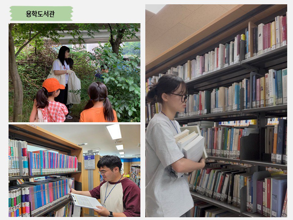 슬라이드3.JPG