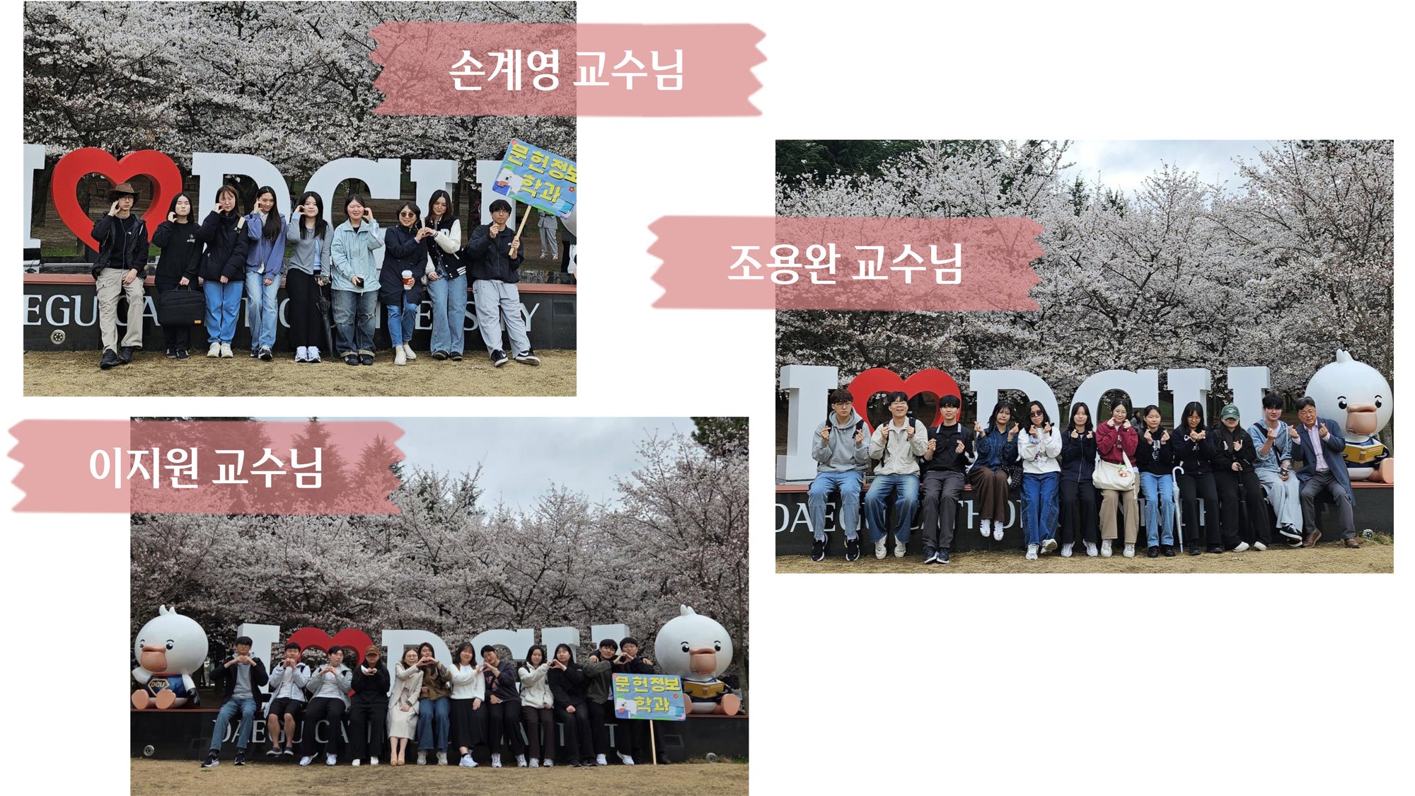 20260324,31 사제동행 벚꽃_3.png