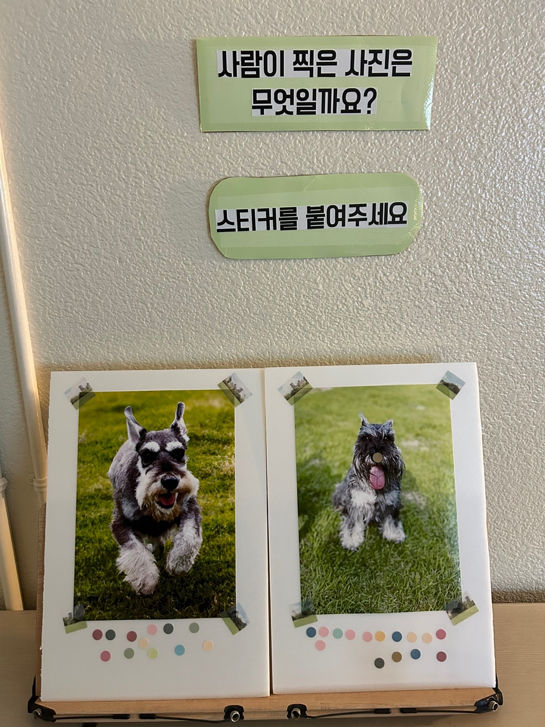 KakaoTalk_20230728_142209743_05.jpg
