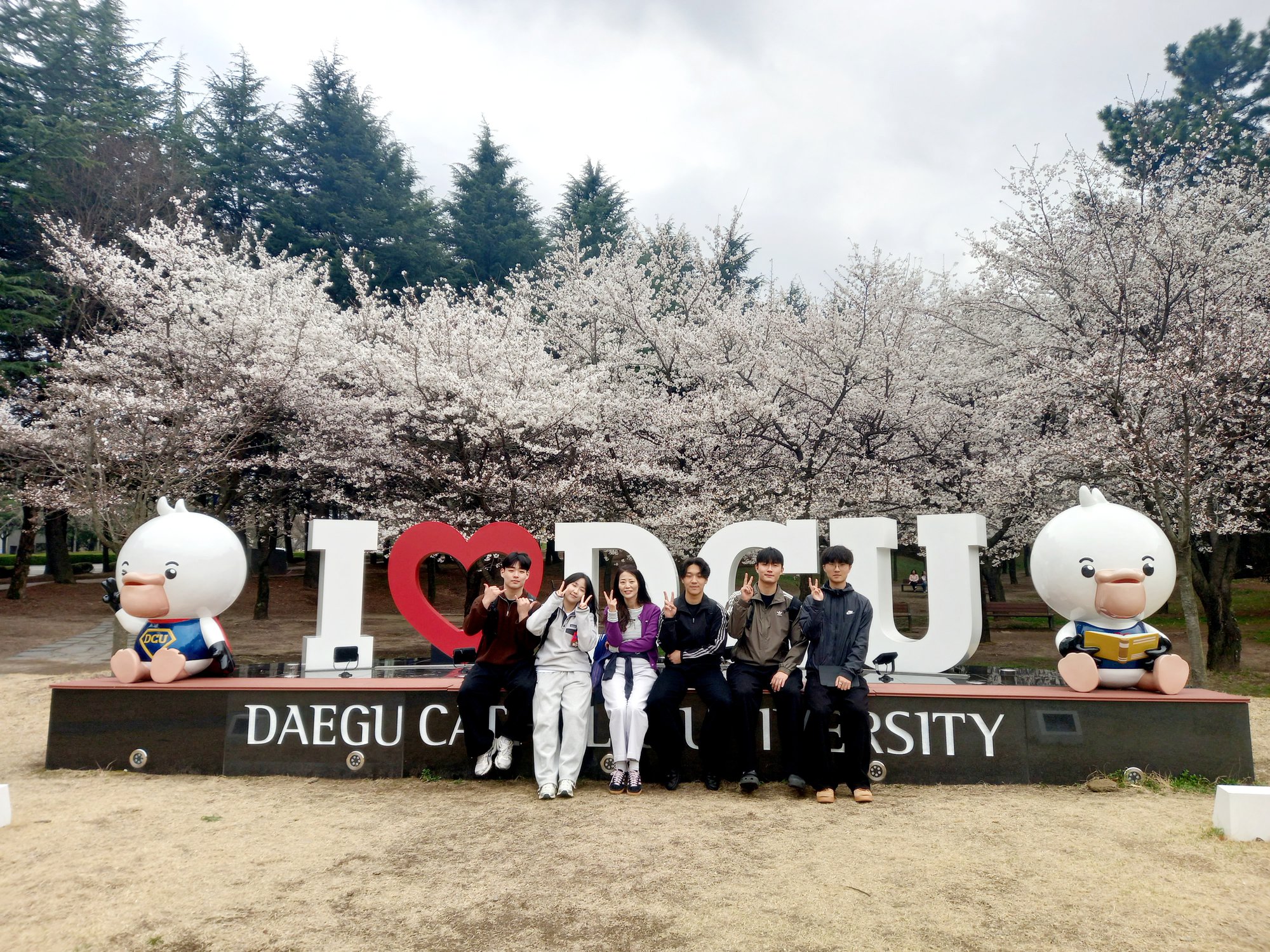 board_data["image_no"]