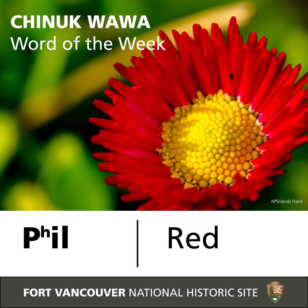 _Phil”_is_the_Chinuk_Wawa_word_for_“red.”_It_is_pronounced_“p-HILL.”_It_should_sound_something_like_the_English_word_“pill”_with_(121fcf88-dd2f-4818-a4f4-f0e2b62c2ca7) (2).jpg